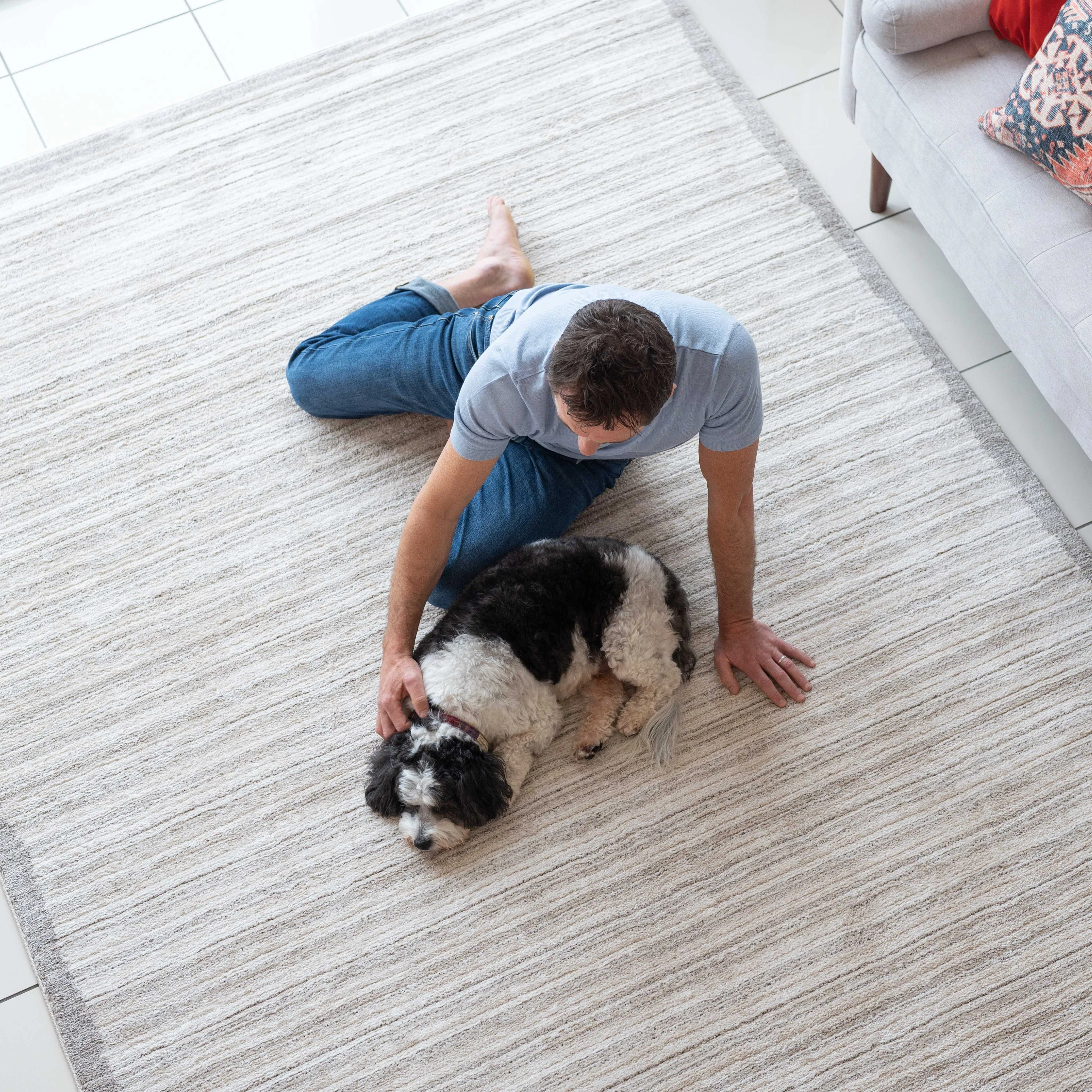 Beige Linear Bordered Area Rug - Rin - Image 5